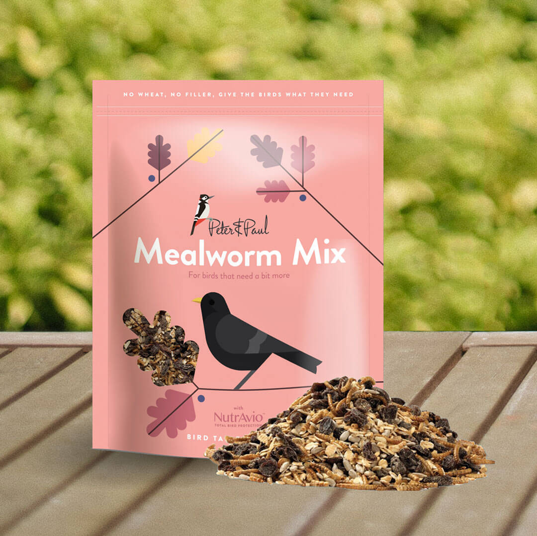 Mealworm Mix