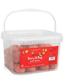 Berry & Bug Suet Balls