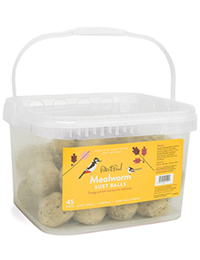 Mealworm Suet Balls