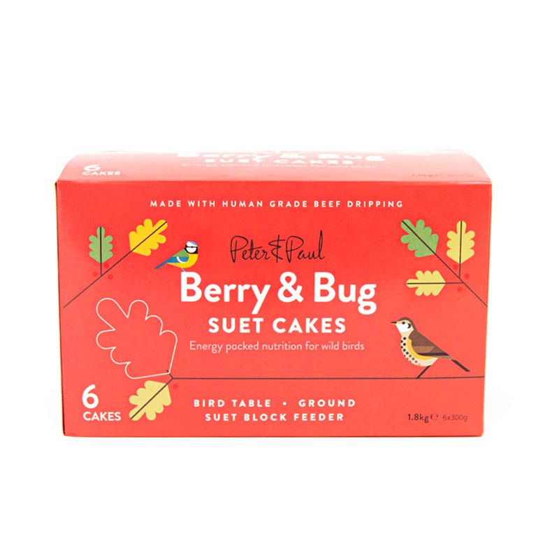 Berry & Bug Suet Cake