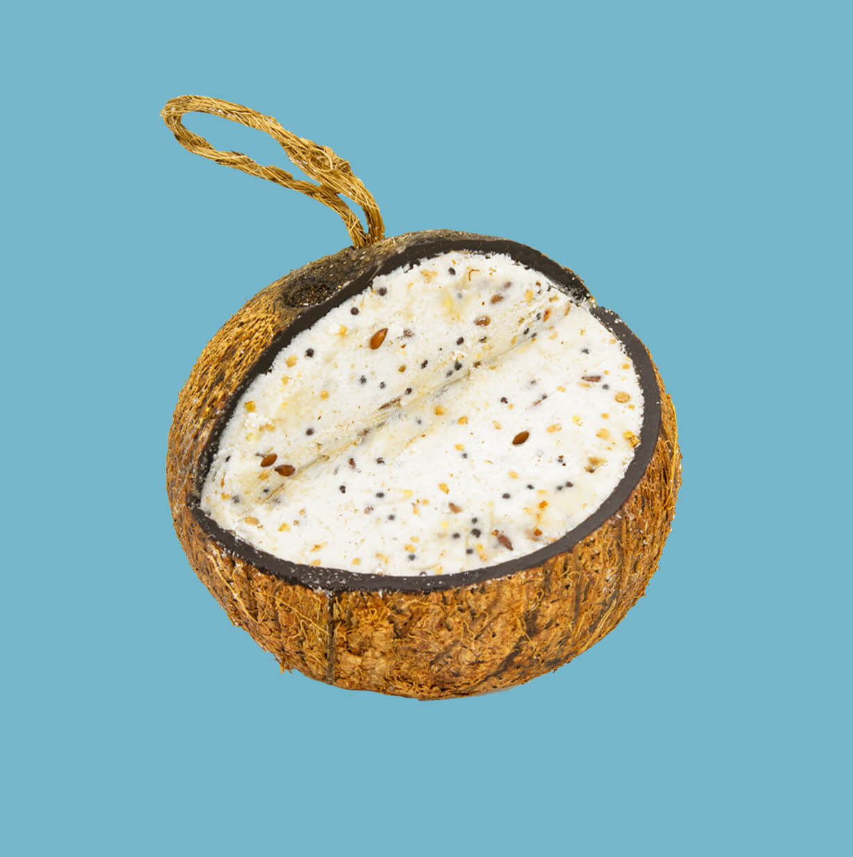 Mealworm Suet Coconut