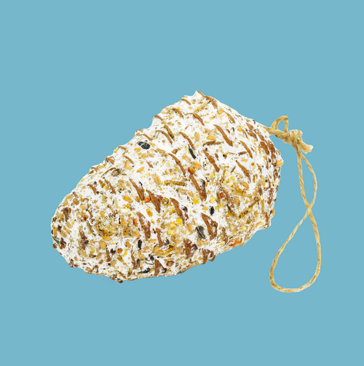 Mealworm Suet Cone