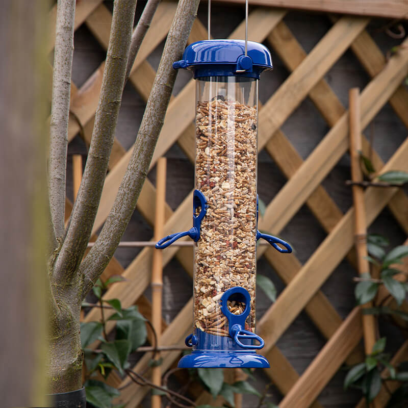 Vivid Vision Seed Feeder