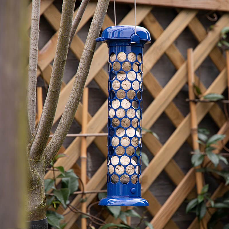 Vivid Vision Suet Feeder