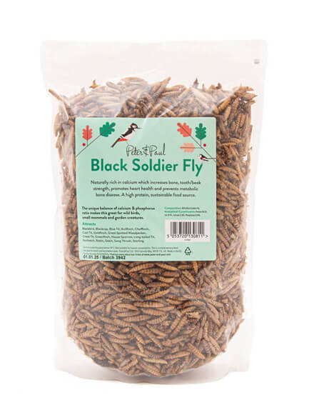 Black Soilder Fly